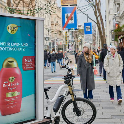 Boomerang.at - Outdoor - Digital E-Trike - OGX