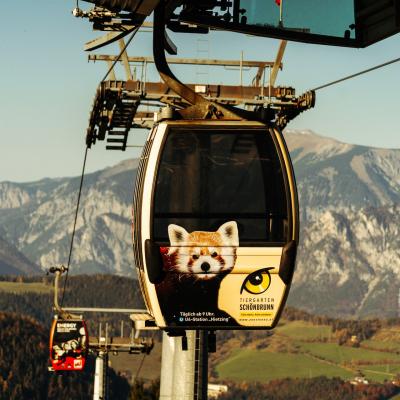 Boomerang.at - Area Based Media - Semmering - Kabinenwerbung: Aussen
